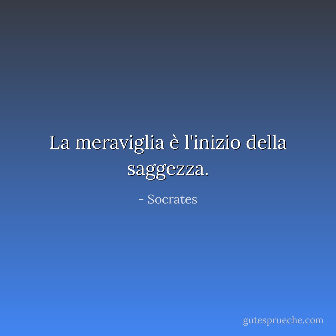 La meraviglia è l'inizio della saggezza. - Socrates