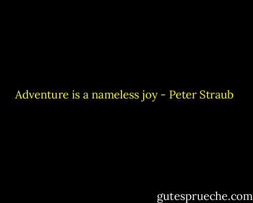 Adventure is a nameless joy - Peter Straub