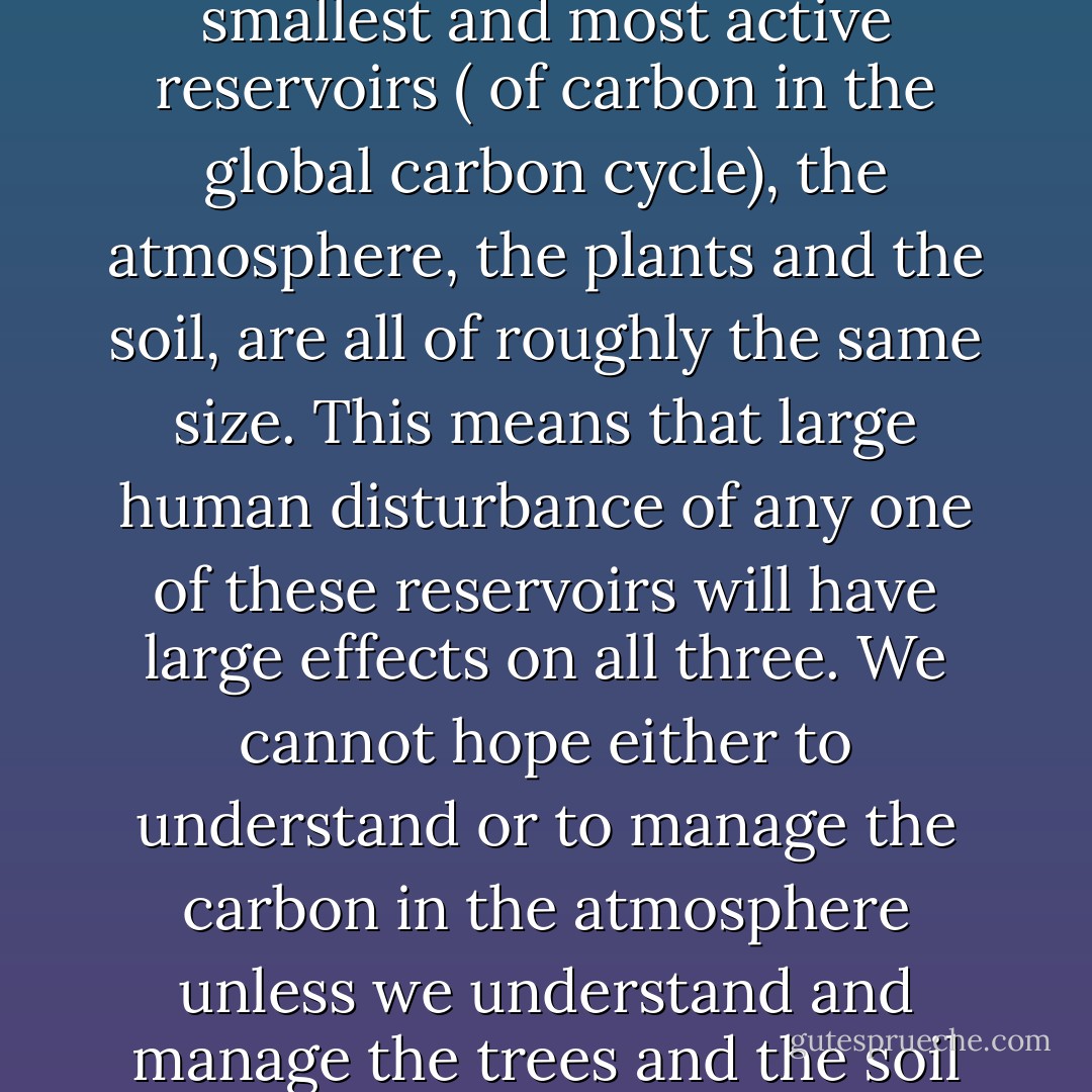 The essential fact which emerges ... is that the three smallest and most active reservoirs ( of carbon in the global carbon cycle), the atmosphere, the plants and the soil, are all of roughly the same size. This means that large human disturbance of any one of these reservoirs will have large effects on all three. We cannot hope either to understand or to manage the carbon in the atmosphere unless we understand and manage the trees and the soil too. - Freeman Dyson