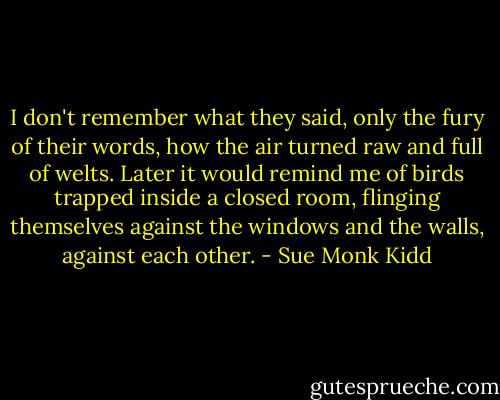 I don't remember what they said, only the fury of their words, how the air turned raw and full of welts. Later it would remind me of birds trapped inside a closed room, flinging themselves against the windows and the walls, against each other. - Sue Monk Kidd