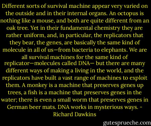 Different sorts of survival machine appear very varied on the outside and in their internal organs. An octopus is nothing like a mouse, and both are quite different from an oak tree. Yet in their fundamental chemistry they are rather uniform, and, in particular, the replicators that they bear, the genes, are basically the same kind of molecule in all of us—from bacteria to elephants. We are all survival machines for the same kind of replicator—molecules called DNA— but there are many different ways of making a living in the world, and the replicators have built a vast range of machines to exploit them. A monkey is a machine that preserves genes up trees, a fish is a machine that preserves genes in the water; there is even a small worm that preserves genes in German beer mats. DNA works in mysterious ways. - Richard Dawkins