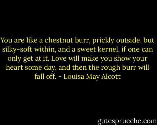 You are like a chestnut burr, prickly outside, but silky-soft within, and a sweet kernel, if one can only get at it. Love will make you show your heart some day, and then the rough burr will fall off. - Louisa May Alcott
