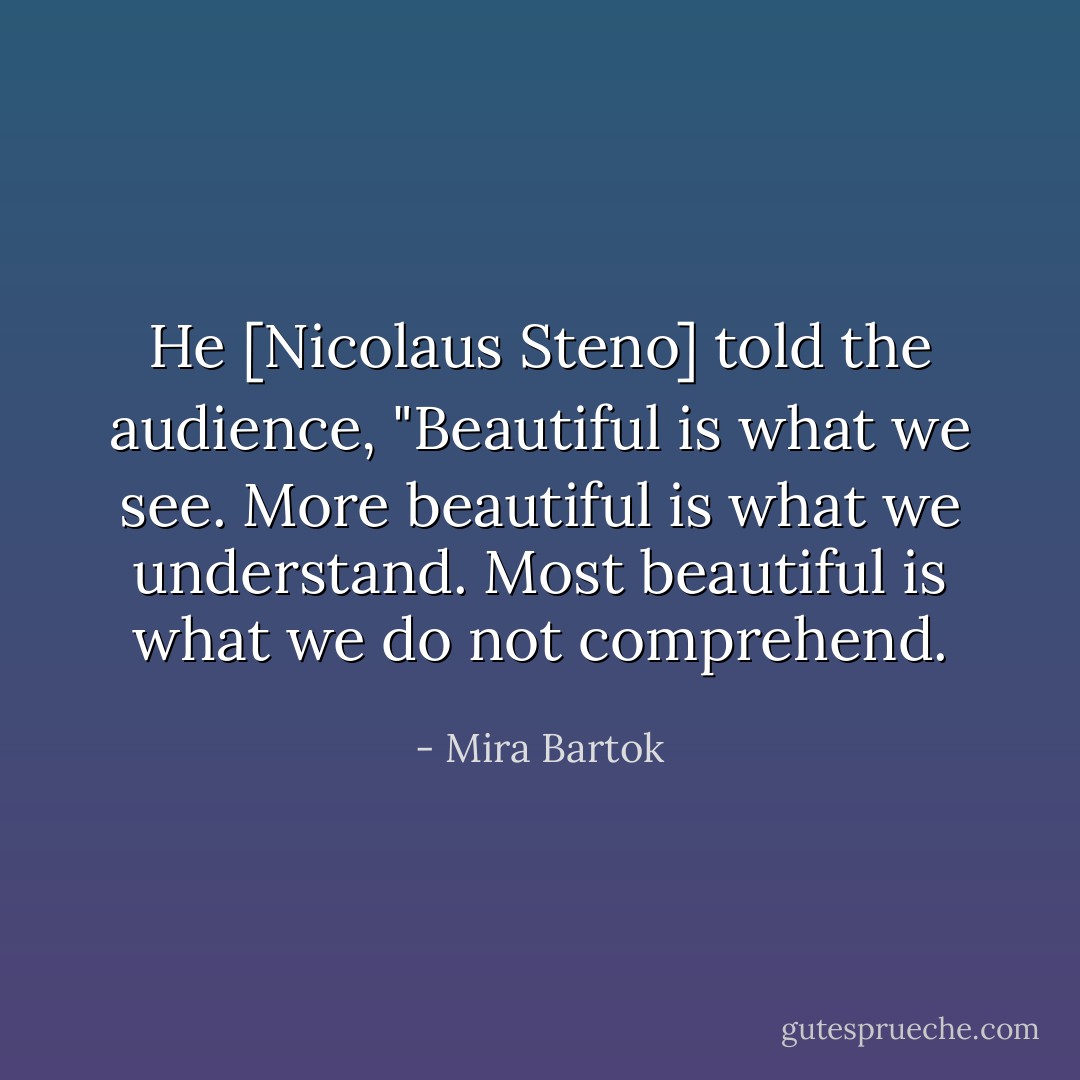 He [Nicolaus Steno] told the audience, "Beautiful is what we see. More beautiful is what we understand. Most beautiful is what we do not comprehend. - Mira Bartok