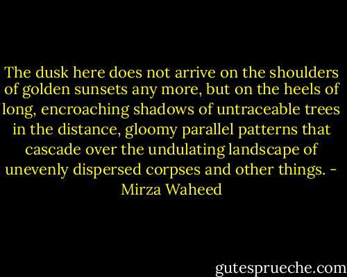 The dusk here does not arrive on the shoulders of golden sunsets any more, but on the heels of long, encroaching shadows of untraceable trees in the distance, gloomy parallel patterns that cascade over the undulating landscape of unevenly dispersed corpses and other things. - Mirza Waheed