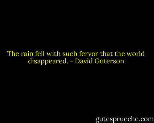 The rain fell with such fervor that the world disappeared. - David Guterson