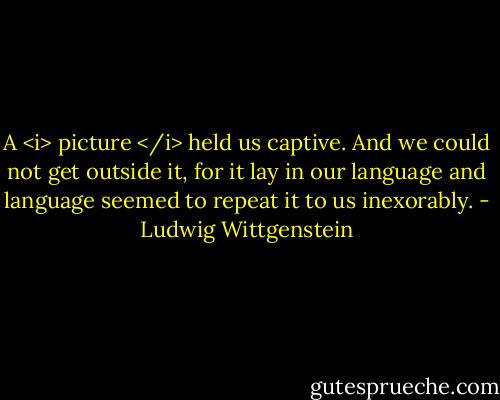 A <i> picture </i> held us captive. And we could not get outside it, for it lay in our language and language seemed to repeat it to us inexorably. - Ludwig Wittgenstein
