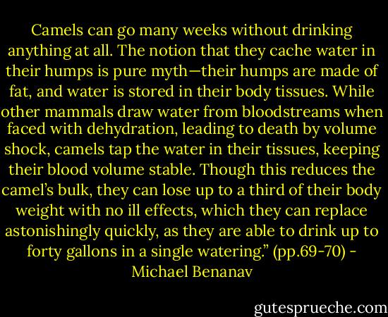 Camels can go many weeks without drinking anything at all. The notion that they cache water in their humps is pure myth—their humps are made of fat, and water is stored in their body tissues. While other mammals draw water from bloodstreams when faced with dehydration, leading to death by volume shock, camels tap the water in their tissues, keeping their blood volume stable. Though this reduces the camel’s bulk, they can lose up to a third of their body weight with no ill effects, which they can replace astonishingly quickly, as they are able to drink up to forty gallons in a single watering.” (pp.69-70) - Michael Benanav