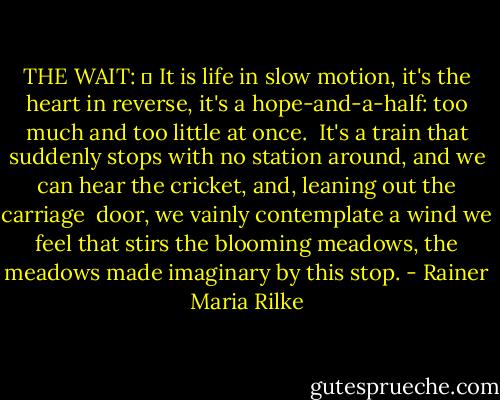 THE WAIT: 	 It is life in slow motion,<br />it's the heart in reverse,<br />it's a hope-and-a-half:<br />too much and too little at once.<br /><br />It's a train that suddenly<br />stops with no station around,<br />and we can hear the cricket,<br />and, leaning out the carriage<br /><br />door, we vainly contemplate<br />a wind we feel that stirs<br />the blooming meadows, the meadows<br />made imaginary by this stop. - Rainer Maria Rilke