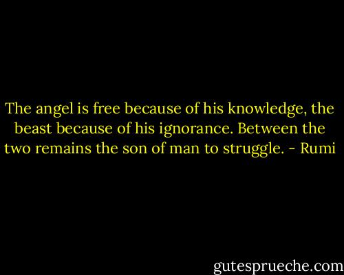 The angel is free because of his knowledge, the beast because of his ignorance. Between the two remains the son of man to struggle. - Rumi