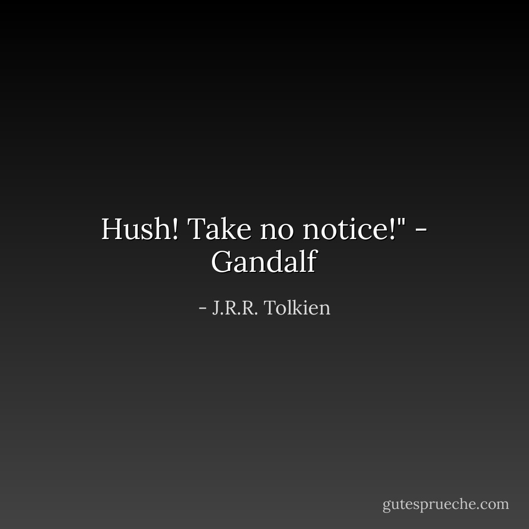 Hush! Take no notice!" - Gandalf - J.R.R. Tolkien