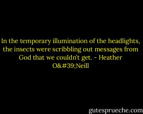 In the temporary illumination of the headlights, the insects were scribbling out messages from God that we couldn’t get. - Heather O'Neill