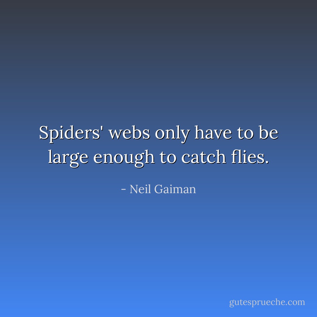 Spiders' webs only have to be large enough to catch flies. - Neil Gaiman