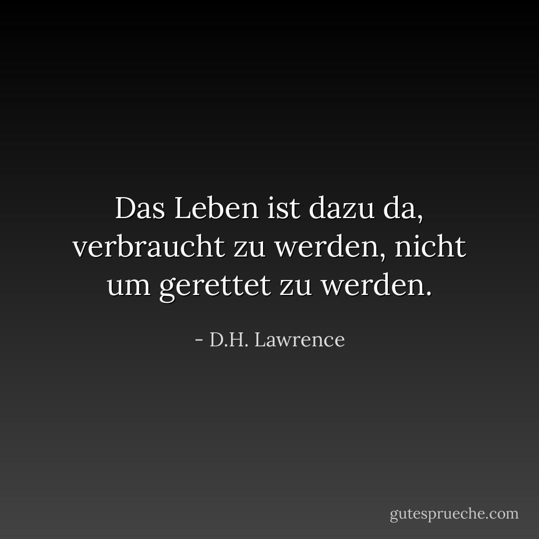 Das Leben ist dazu da, verbraucht zu werden, nicht um<br />gerettet zu werden. - D.H. Lawrence<