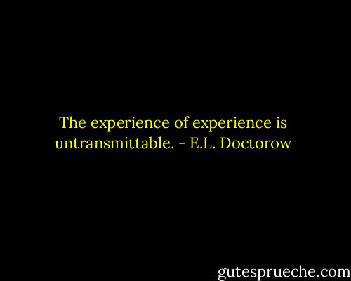 The experience of experience is untransmittable. - E.L. Doctorow
