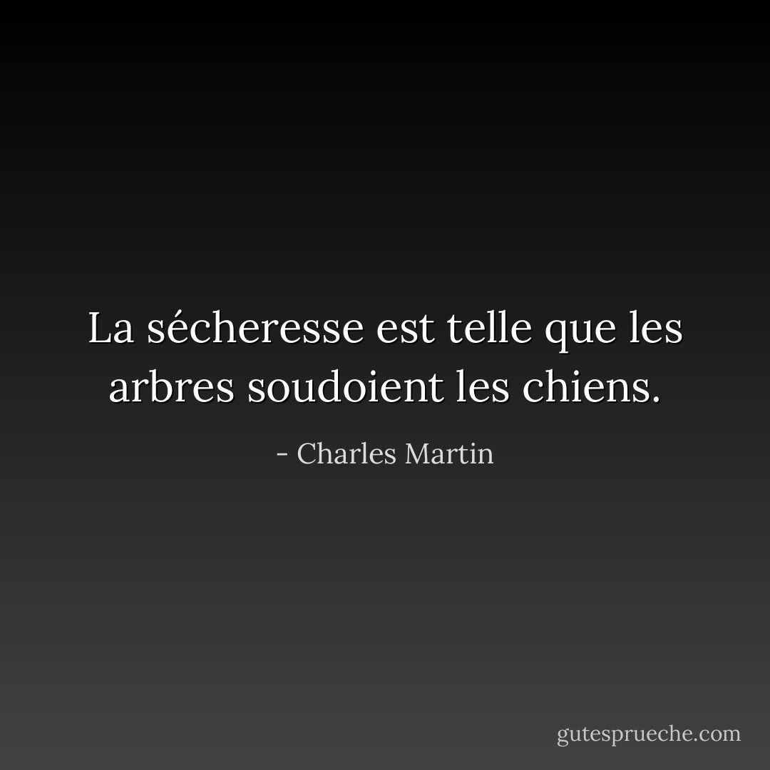 La sécheresse est telle que les arbres soudoient les chiens. - Charles Martin