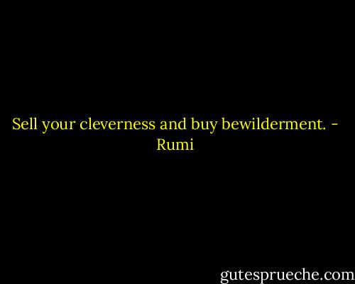 Sell your cleverness and buy bewilderment. - Rumi