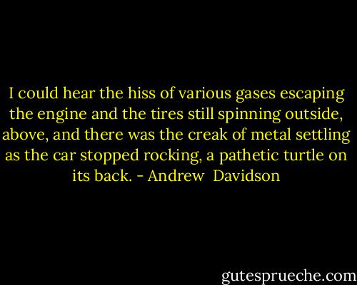I could hear the hiss of various gases escaping the engine and the tires still spinning outside, above, and there was the creak of metal settling as the car stopped rocking, a pathetic turtle on its back. - Andrew  Davidson