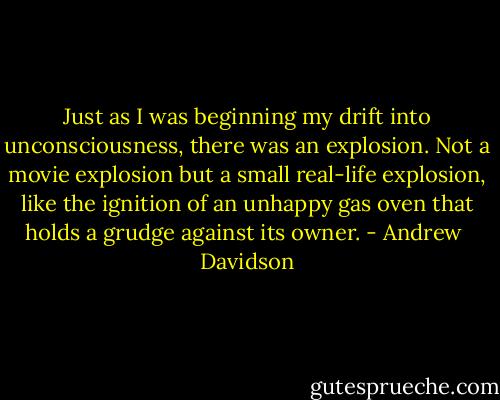 Just as I was beginning my drift into unconsciousness, there was an explosion. Not a movie explosion but a small real-life explosion, like the ignition of an unhappy gas oven that holds a grudge against its owner. - Andrew  Davidson
