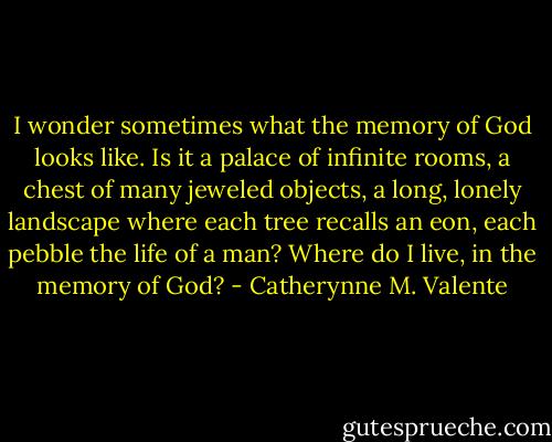 I wonder sometimes what the memory of God looks like. Is it a palace of infinite rooms, a chest of many jeweled objects, a long, lonely landscape where each tree recalls an eon, each pebble the life of a man? Where do I live, in the memory of God? - Catherynne M. Valente