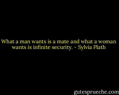 What a man wants is a mate and what a woman wants is infinite security. - Sylvia Plath