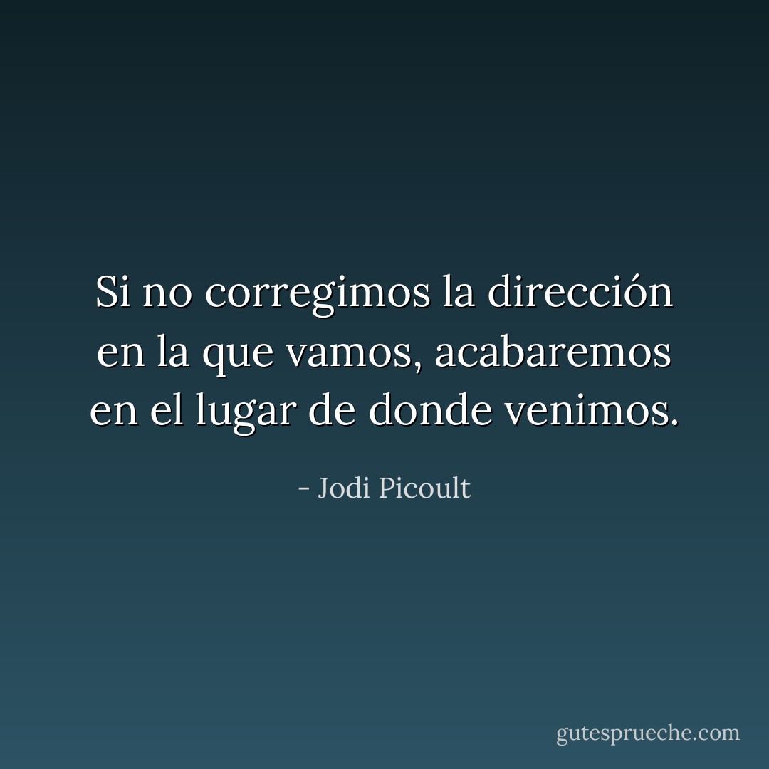 Si no corregimos la dirección en la que vamos, acabaremos en el lugar de donde venimos. - Jodi Picoult