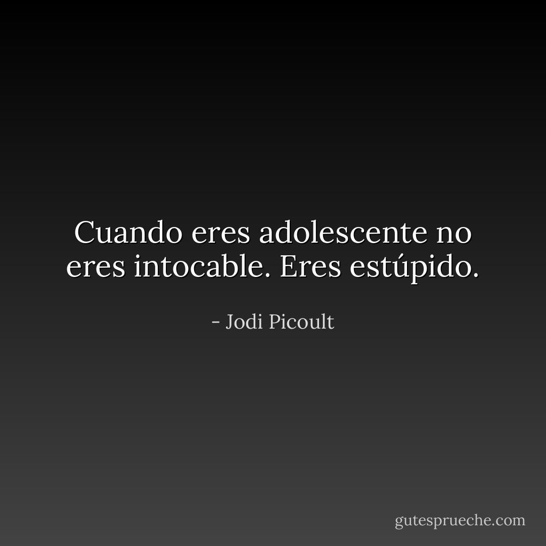 Cuando eres adolescente no eres intocable. Eres estúpido. - Jodi Picoult