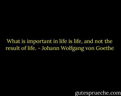 What is important in life is life, and not the result of life. - Johann Wolfgang von Goethe