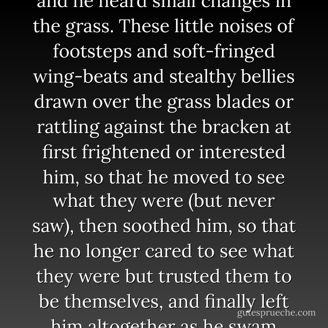 He thought himself awake when he was already asleep. He saw the stars above his face, whirling on their silent and sleepless axis, and the leaves of the trees rustling against them, and he heard small changes in the grass. These little noises of footsteps and soft-fringed wing-beats and stealthy bellies drawn over the grass blades or rattling against the bracken at first frightened or interested him, so that he moved to see what they were (but never saw), then soothed him, so that he no longer cared to see what they were but trusted them to be themselves, and finally left him altogether as he swam down deeper and deeper, nuzzling into the scented turf, into the warm ground, into the unending waters under the earth. - T.H. White