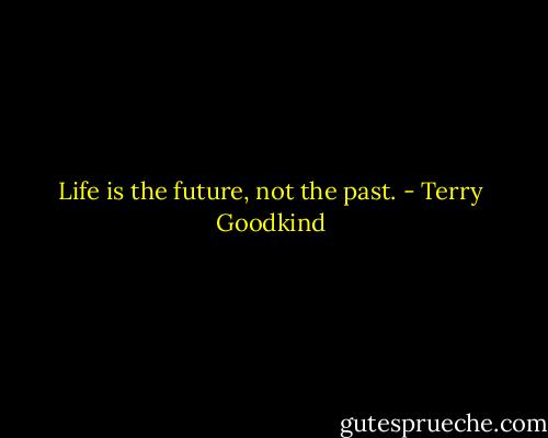 Life is the future, not the past. - Terry Goodkind