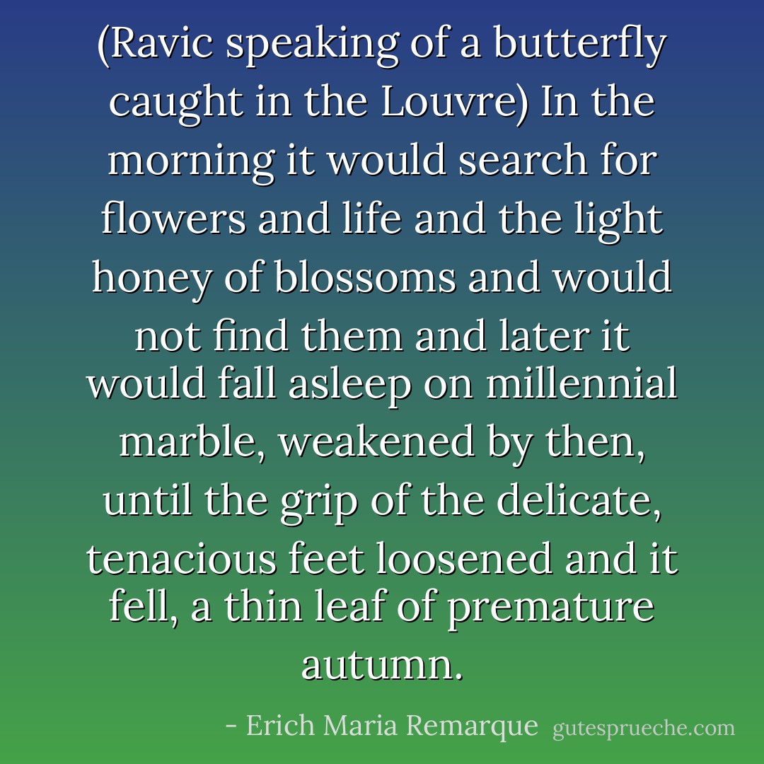 (Ravic speaking of a butterfly caught in the Louvre) In the morning it would search for flowers and life and the light honey of blossoms and would not find them and later it would fall asleep on millennial marble, weakened by then, until the grip of the delicate, tenacious feet loosened and it fell, a thin leaf of premature autumn. - Erich Maria Remarque