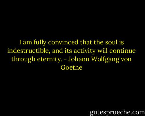 I am fully convinced that the soul is indestructible, and its activity will continue through eternity. - Johann Wolfgang von Goethe