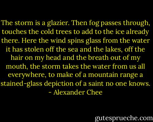 The storm is a glazier. Then fog passes through, touches the cold trees to add to the ice already there. Here the wind spins glass from the water it has stolen off the sea and the lakes, off the hair on my head and the breath out of my mouth, the storm takes the water from us all everywhere, to make of a mountain range a stained-glass depiction of a saint no one knows. - Alexander Chee