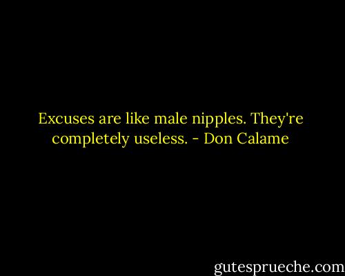 Excuses are like male nipples. They're completely useless. - Don Calame