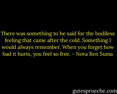 There was something to be said for the bodiless feeling that came after the cold. Something I would always remember. When you forget how bad it hurts, you feel so free. - Nova Ren Suma