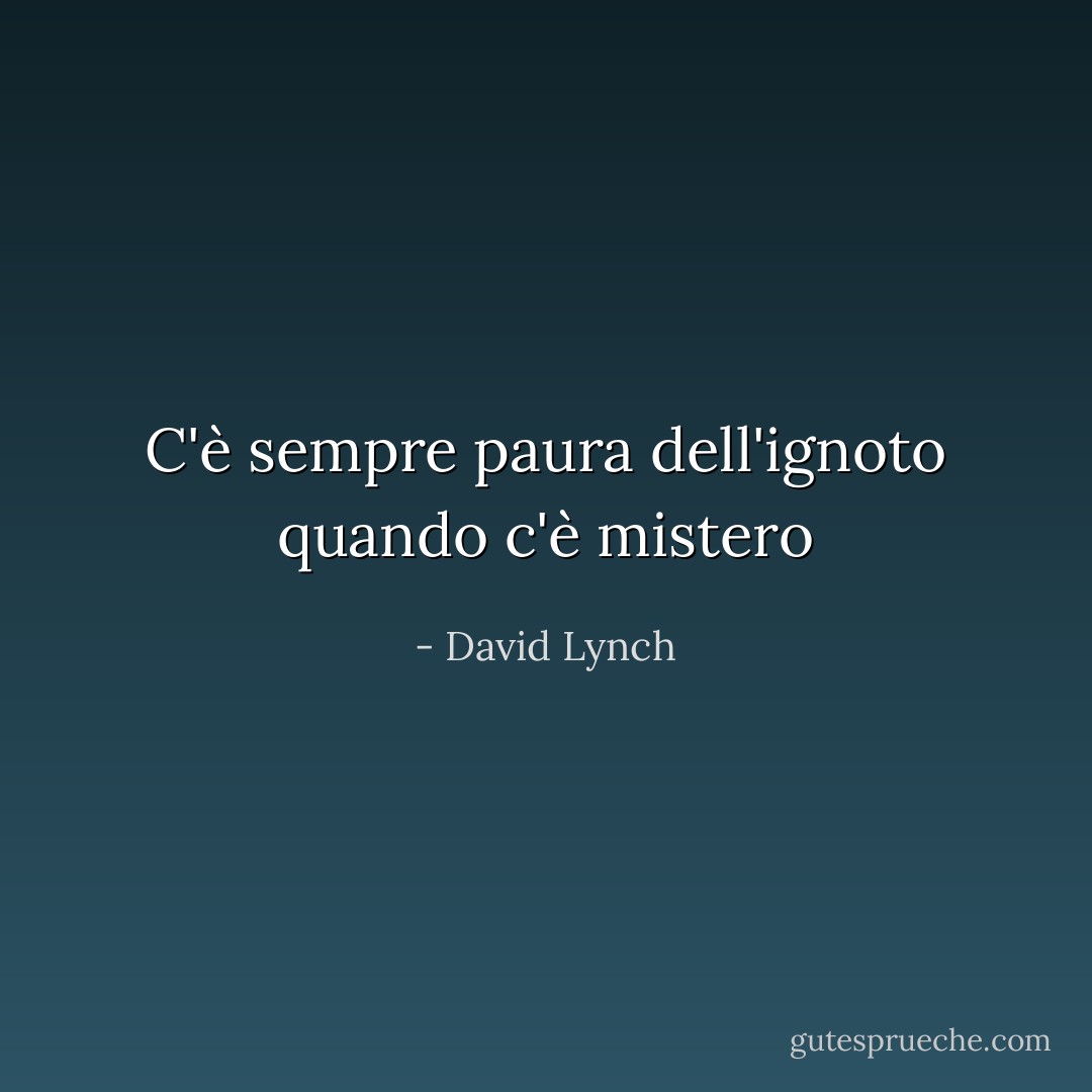 C'è sempre paura dell'ignoto quando c'è mistero - David Lynch