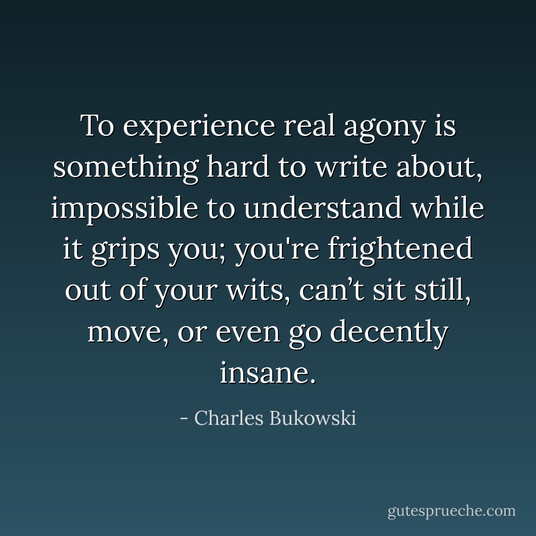 To experience real agony is something hard to write about, impossible to understand while it grips you; you're frightened out of your wits, can’t sit still, move, or even go decently insane. - Charles Bukowski