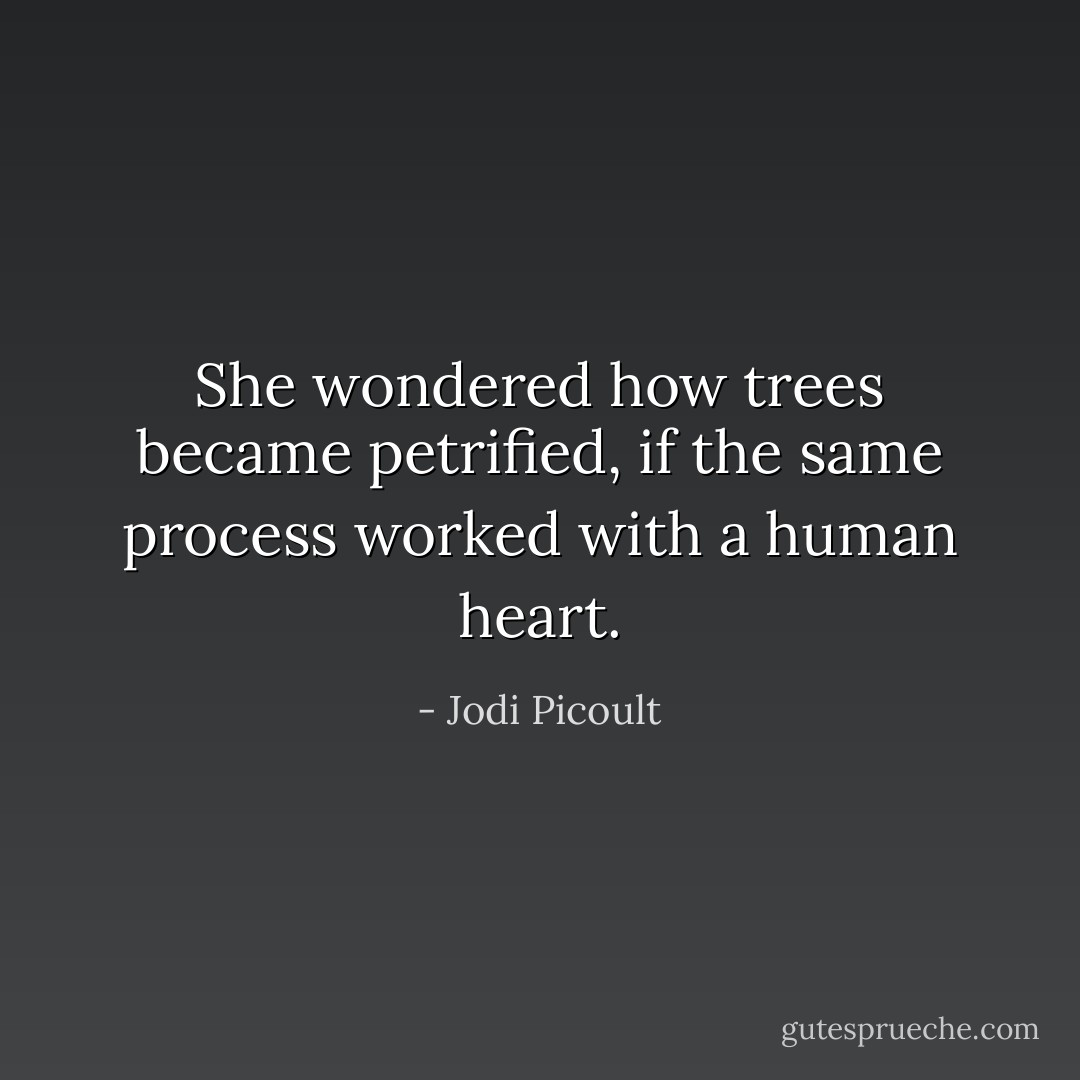 She wondered how trees became petrified, if the same process worked with a human heart. - Jodi Picoult