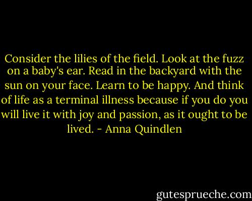 Consider the lilies of the field. Look at the fuzz on a baby's ear. Read in the backyard with the sun on your face. Learn to be happy. And think of life as a terminal illness because if you do you will live it with joy and passion, as it ought to be lived. - Anna Quindlen