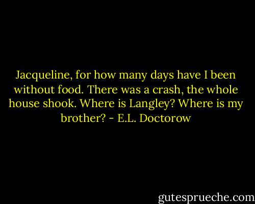 Jacqueline, for how many days have I been without food. There was a crash, the whole house shook. Where is Langley? Where is my brother? - E.L. Doctorow