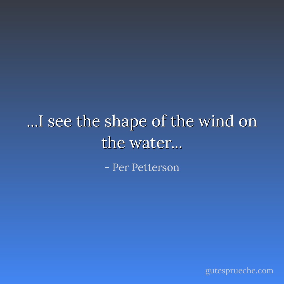 ...I see the shape of the wind on the water... - Per Petterson
