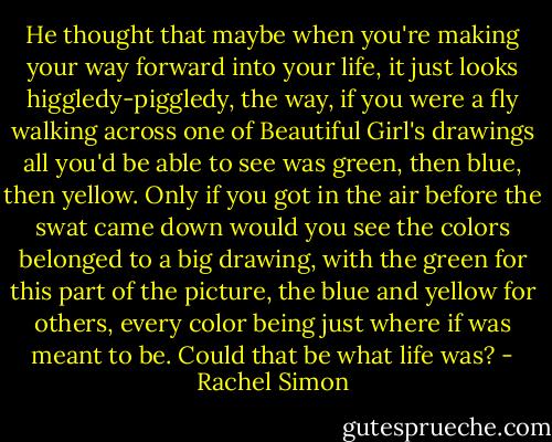 He thought that maybe when you're making your way forward into your life, it just looks higgledy-piggledy, the way, if you were a fly walking across one of Beautiful Girl's drawings all you'd be able to see was green, then blue, then yellow. Only if you got in the air before the swat came down would you see the colors belonged to a big drawing, with the green for this part of the picture, the blue and yellow for others, every color being just where if was meant to be. Could that be what life was? - Rachel Simon
