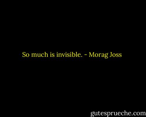 So much is invisible. - Morag Joss