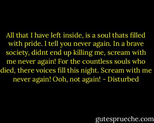 All that I have left inside, is a soul thats filled with pride. I tell you never again. In a brave society, didnt end up killing me, scream with me never again! For the countless souls who died, there voices fill this night. Scream with me never again! Ooh, not again! - Disturbed