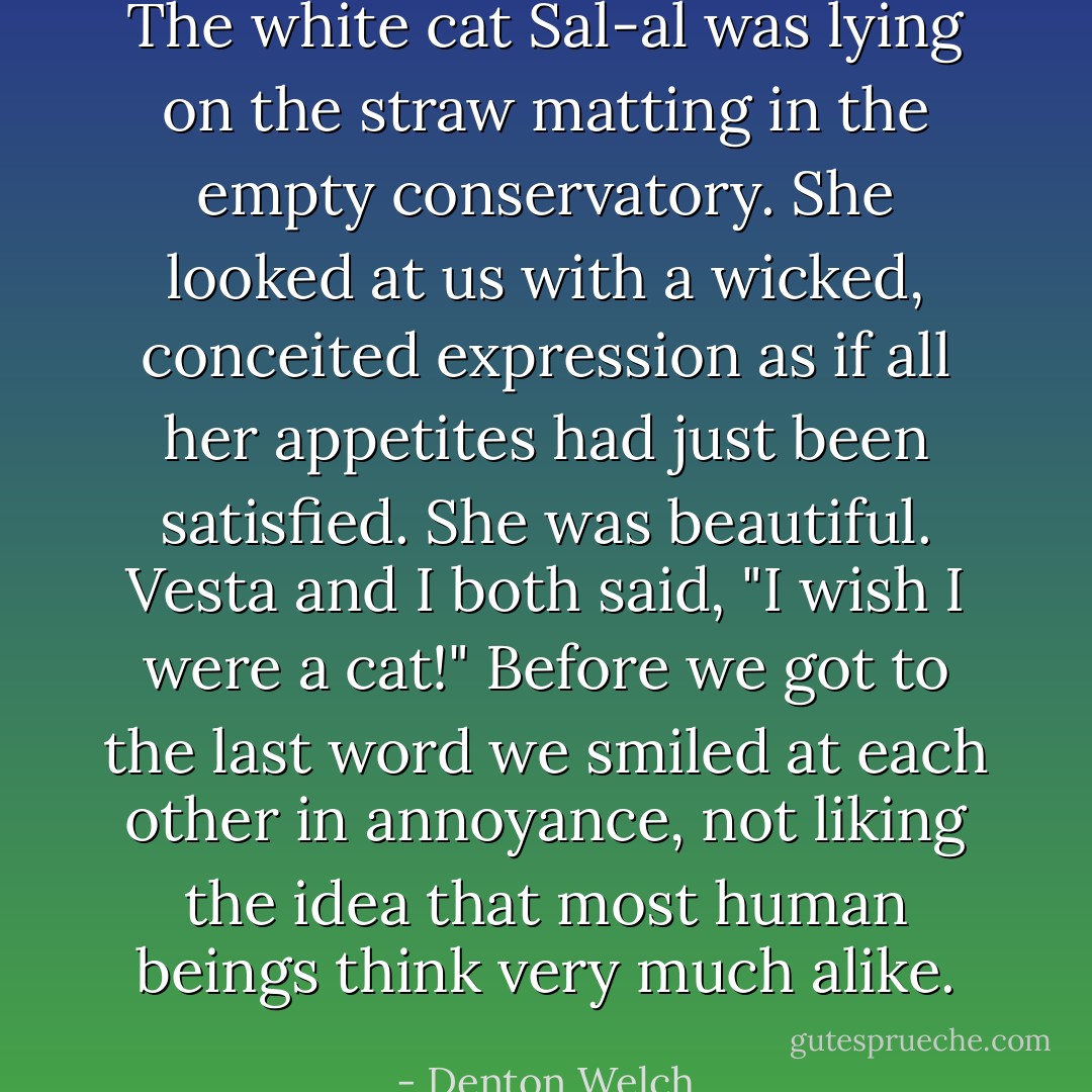The white cat Sal-al was lying on the straw matting in the empty conservatory. She looked at us with a wicked, conceited expression as if all her appetites had just been satisfied. She was beautiful. Vesta and I both said, "I wish I were a cat!" Before we got to the last word we smiled at each other in annoyance, not liking the idea that most human beings think very much alike. - Denton Welch