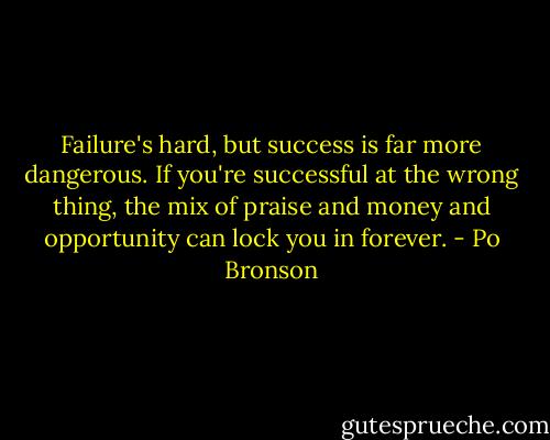 Failure's hard, but success is far more dangerous. If you're successful at the wrong thing, the mix of praise and money and opportunity can lock you in forever. - Po Bronson