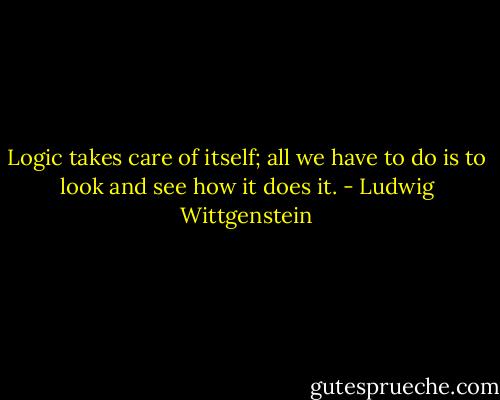 Logic takes care of itself; all we have to do is to look and see how it does it. - Ludwig Wittgenstein