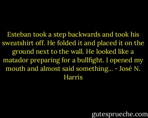 Esteban took a step backwards and took his sweatshirt off. He folded it and placed it on the ground next to the wall. He looked like a matador preparing for a bullfight. I opened my mouth and almost said something... - José N. Harris