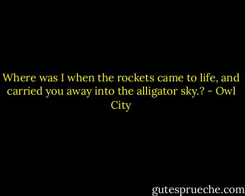 Where was I when the rockets came to life, and carried you away into the alligator sky.? - Owl City