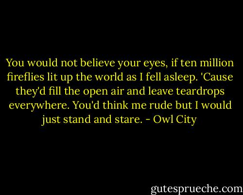 You would not believe your eyes, if ten million fireflies lit up the world as I fell asleep. 'Cause they'd fill the open air and leave teardrops everywhere. You'd think me rude but I would just stand and stare. - Owl City