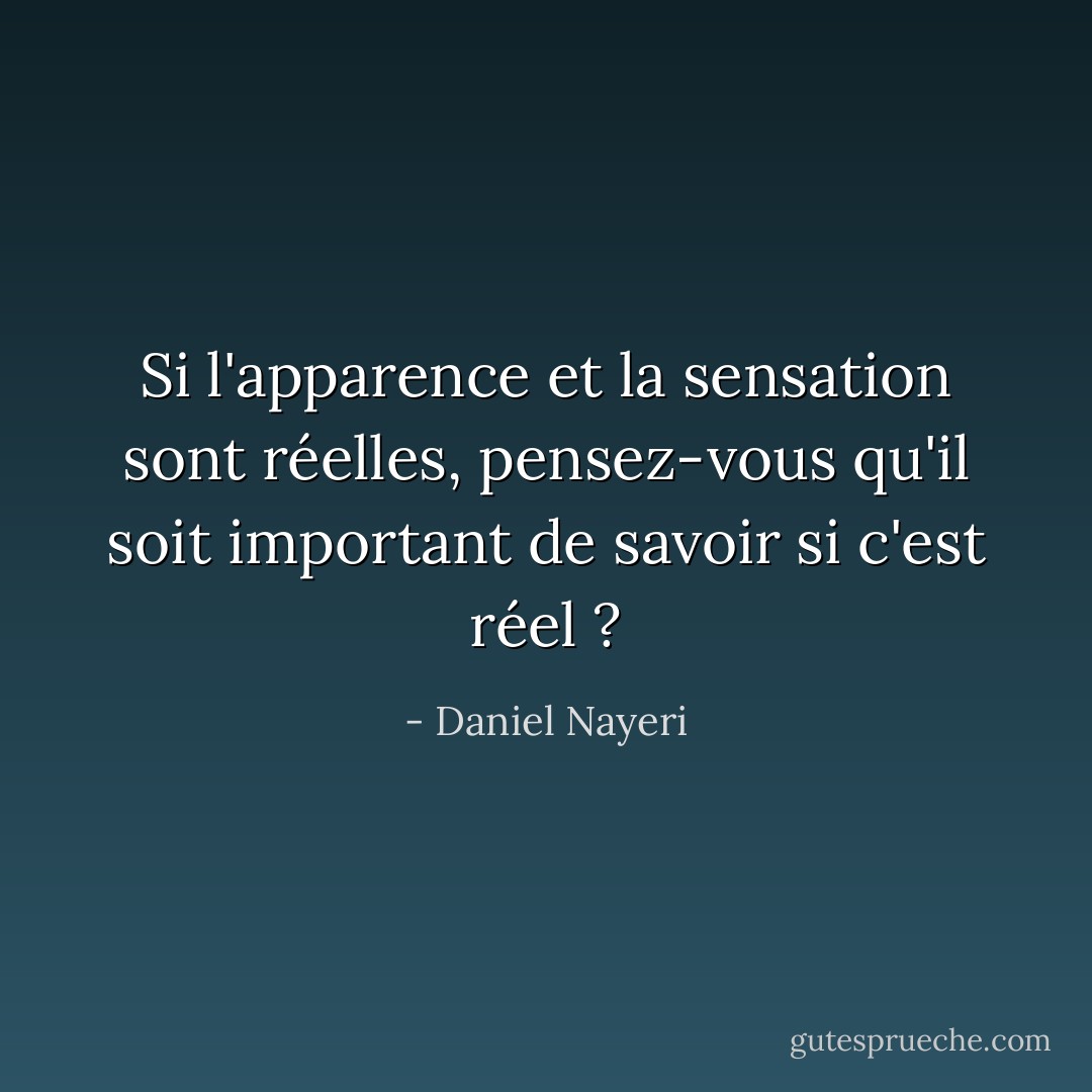 Si l'apparence et la sensation sont réelles, pensez-vous qu'il soit important de savoir si c'est réel ? - Daniel Nayeri